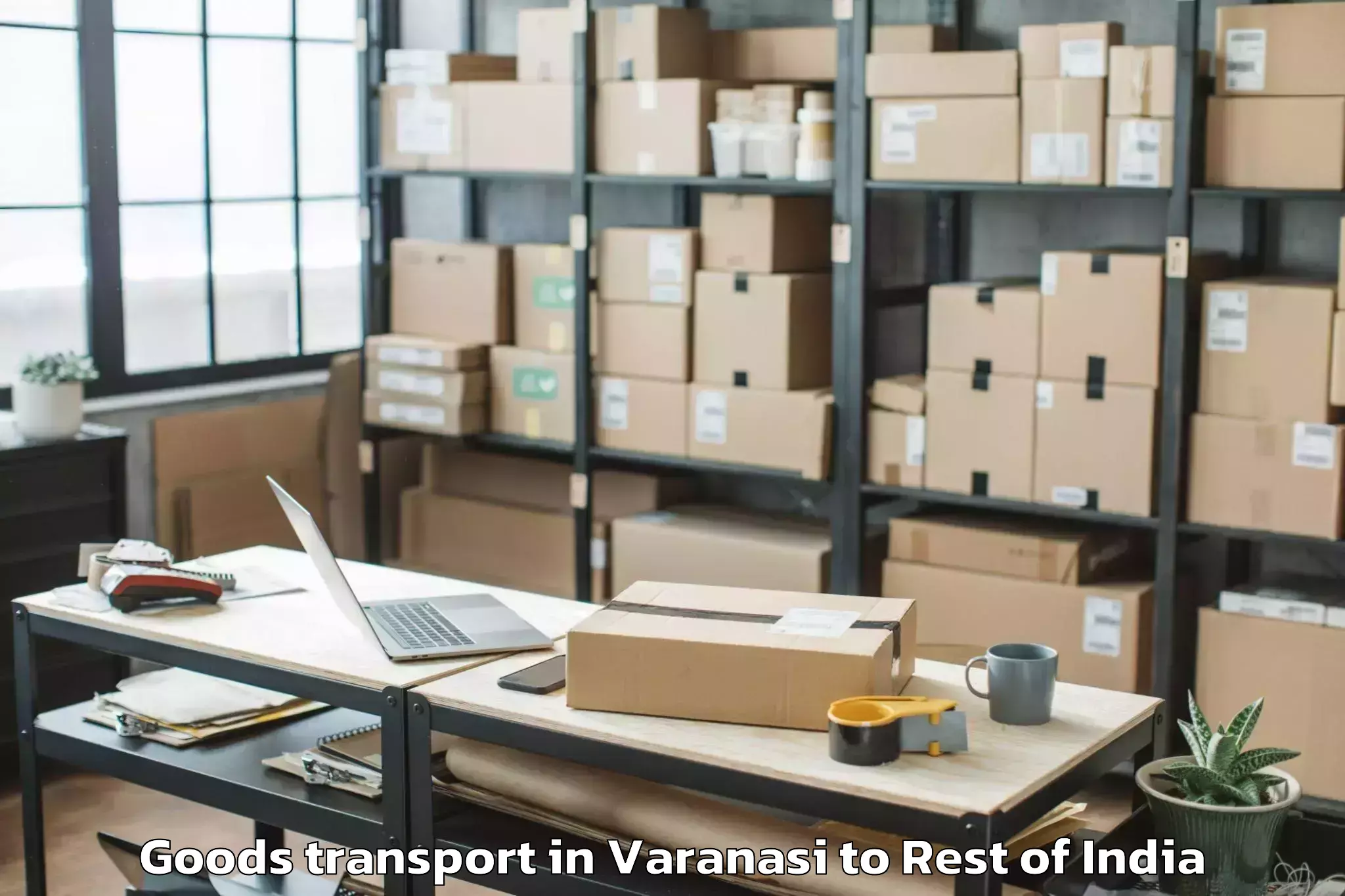 Quality Varanasi to Along Goods Transport